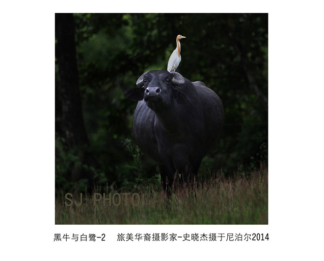 仕傑風光寫真