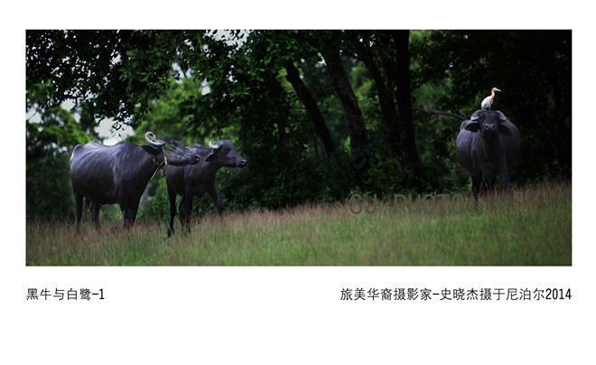 仕傑風光寫真